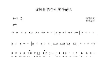 你就是我今生要等的人_歌曲简谱_词曲:孙国良 黄永杰