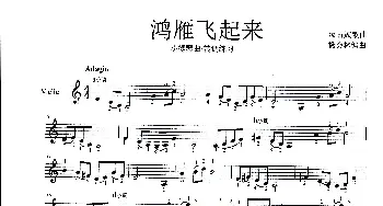 鸿雁飞起来_歌曲简谱_词曲: 杨会林编曲