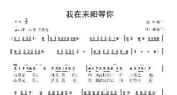 我在耒阳等你_歌曲简谱_词曲:叶连军 鲁新华