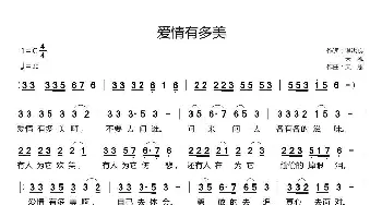 爱情有多美_歌曲简谱_词曲:湛洪良/天恩 天恩