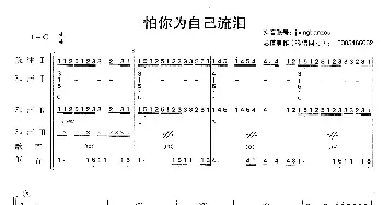 怕你为自己流泪_歌曲简谱_词曲: