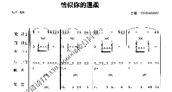 恰似你的温柔_歌曲简谱_词曲: