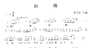 红梅_歌曲简谱_词曲:孙卫东 孙卫东