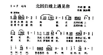 北回归线上遇见你_歌曲简谱_词曲:黎强 刘泽湖