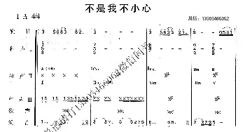 不是我不小心_歌曲简谱_词曲: