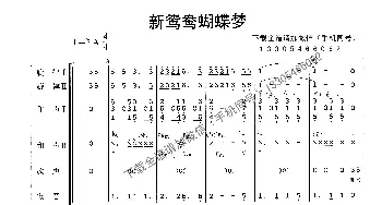 新鸳鸯蝴蝶梦_歌曲简谱_词曲:黄安 黄安