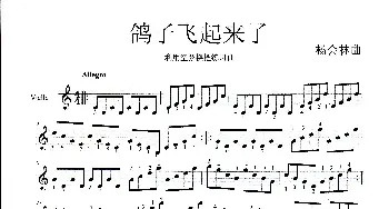 鸽子飞起来了_歌曲简谱_词曲: 杨会林