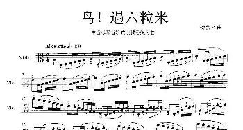 鸟！遇六粒米_歌曲简谱_词曲: 杨会林作曲