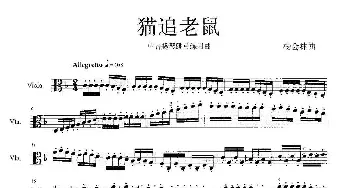 猫追老鼠_歌曲简谱_词曲: 杨会林作曲