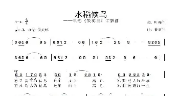 水稻候鸟_歌曲简谱_词曲:叶连军 鲁新华