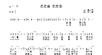 星星美星星亮_歌曲简谱_词曲:董庆伟 孙卫东