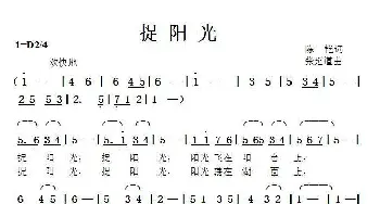 捉阳光_歌曲简谱_词曲:陈艳 张延道