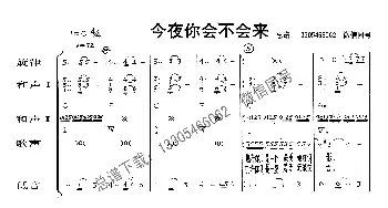 今夜你会不会来_歌曲简谱_词曲: