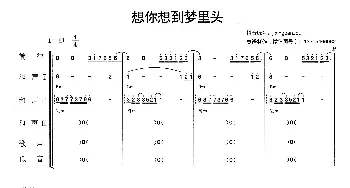 想你想到梦里头_歌曲简谱_词曲: