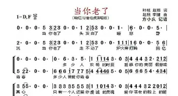 当你老了_歌曲简谱_词曲:叶枝、赵照 赵照、李健