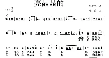 亮晶晶的_歌曲简谱_词曲:罗晓航 李戈