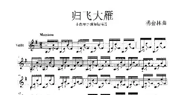 归飞大雁_歌曲简谱_词曲: 杨会林曲