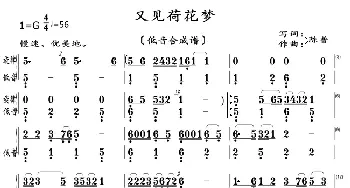 又见荷花梦_歌曲简谱_词曲:陈普 陈普