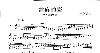 盘旋的鹰_歌曲简谱_词曲: 杨会林