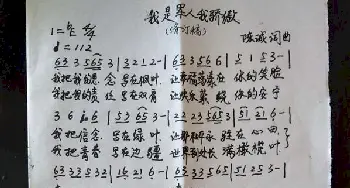 我是军人我骄傲_歌曲简谱_词曲:陈诚 陈诚 高音敏子