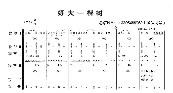 好大一棵树_歌曲简谱_词曲: