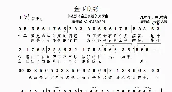 电视剧《金玉良缘》片尾曲_歌曲简谱_词曲:桐华 林海