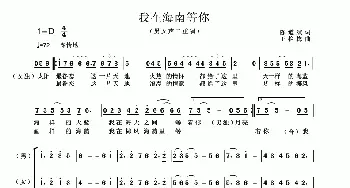 我在海南等你_歌曲简谱_词曲:陈道斌 王艳梅