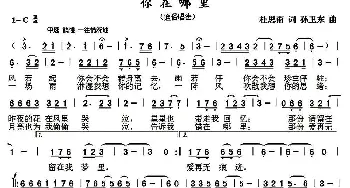 你在哪里_歌曲简谱_词曲:杜思雨 孙卫东