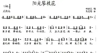 阳光攀枝花_歌曲简谱_词曲:叶方义 朱发雄