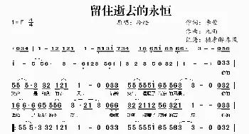 留住逝去的永恒_歌曲简谱_词曲:李萱 九雨