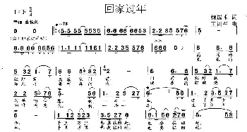 回家过年_歌曲简谱_词曲:赖国术 王训军