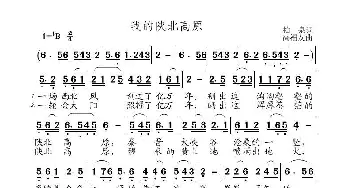 我的陕北高原_歌曲简谱_词曲:桕泉 高福友