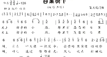 20.白果树下_歌曲简谱_词曲:蓝天鸽 蓝天鸽