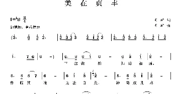 美在贞丰_歌曲简谱_词曲:肖矿 肖矿