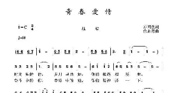 青春爱情_歌曲简谱_词曲:孙国良 黄永杰