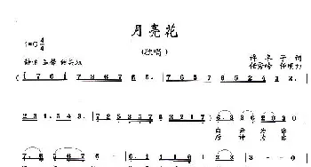 月亮花_歌曲简谱_词曲:许冬子 任秀岭、任明