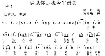 遇见你是我今生最美_歌曲简谱_词曲:林红 莫恭敏