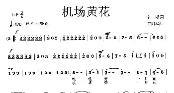 机场黄花_歌曲简谱_词曲:宁明 王训军