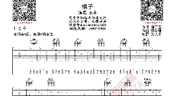 王菲 棋子 吉他谱 C调指法_歌曲简谱_词曲: