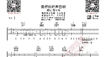 傲七爷 是想你的声音啊 吉他谱_歌曲简谱_词曲: