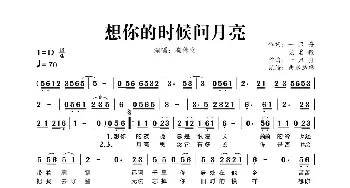 想你的时候问月亮_歌曲简谱_词曲:一只舟、党名毅 一只舟