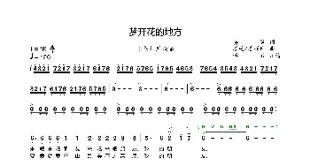 梦开花的地方-索朗扎西_歌曲简谱_词曲:姜遥 姜遥、姜仲祥