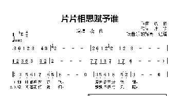 片片相思赋予谁_歌曲简谱_词曲:冰吻 晓依.