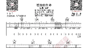 汪峰 怒放的生命 吉他谱_歌曲简谱_词曲: