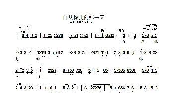 自从你走的那一天_歌曲简谱_词曲: