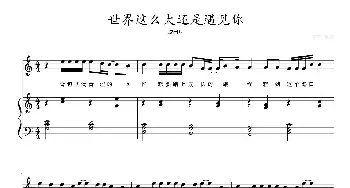 世界这么大还是遇见你_歌曲简谱_词曲: