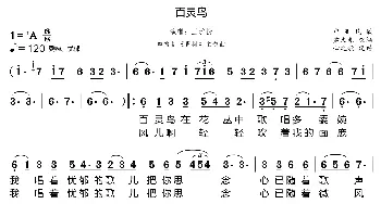 百灵鸟_歌曲简谱_词曲:中亚民歌 孟文豪