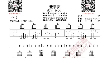 张小斐 萱草花 吉他谱_歌曲简谱_词曲: