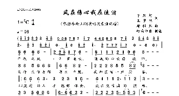 风在伤心我在流泪_歌曲简谱_词曲:于跃好、王梦秋 王梦秋