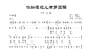 你知道花儿有多坚强_歌曲简谱_词曲:唐跃升 胡旭东